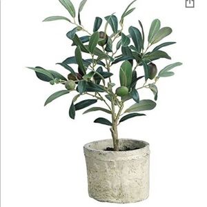 Potted Olive Tree (plastic)